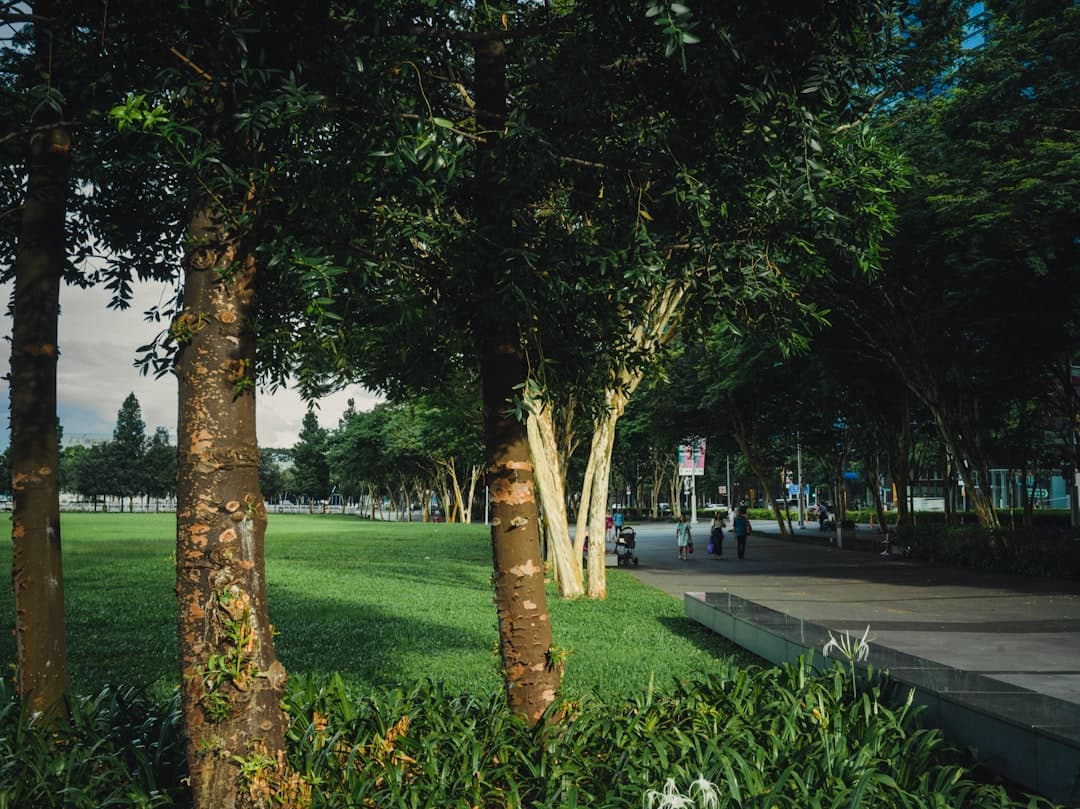 Commercial Shrubs, Bushes & Trees Care Hero