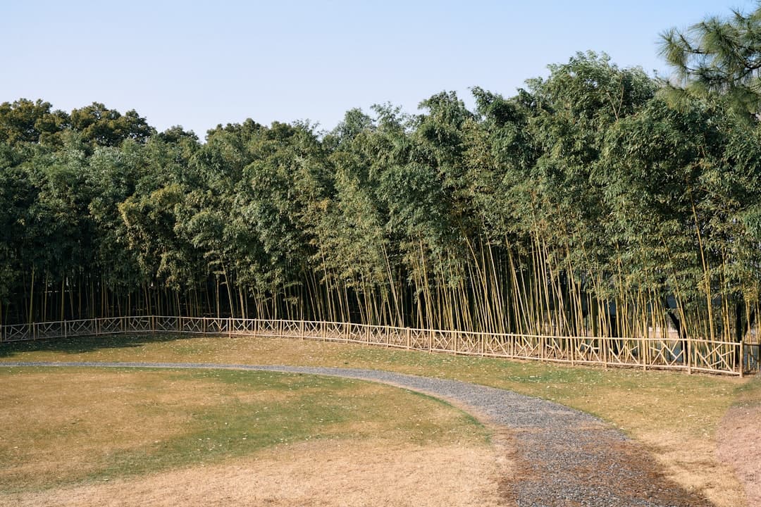 More Than Just Grass